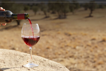 Israeli winemakers